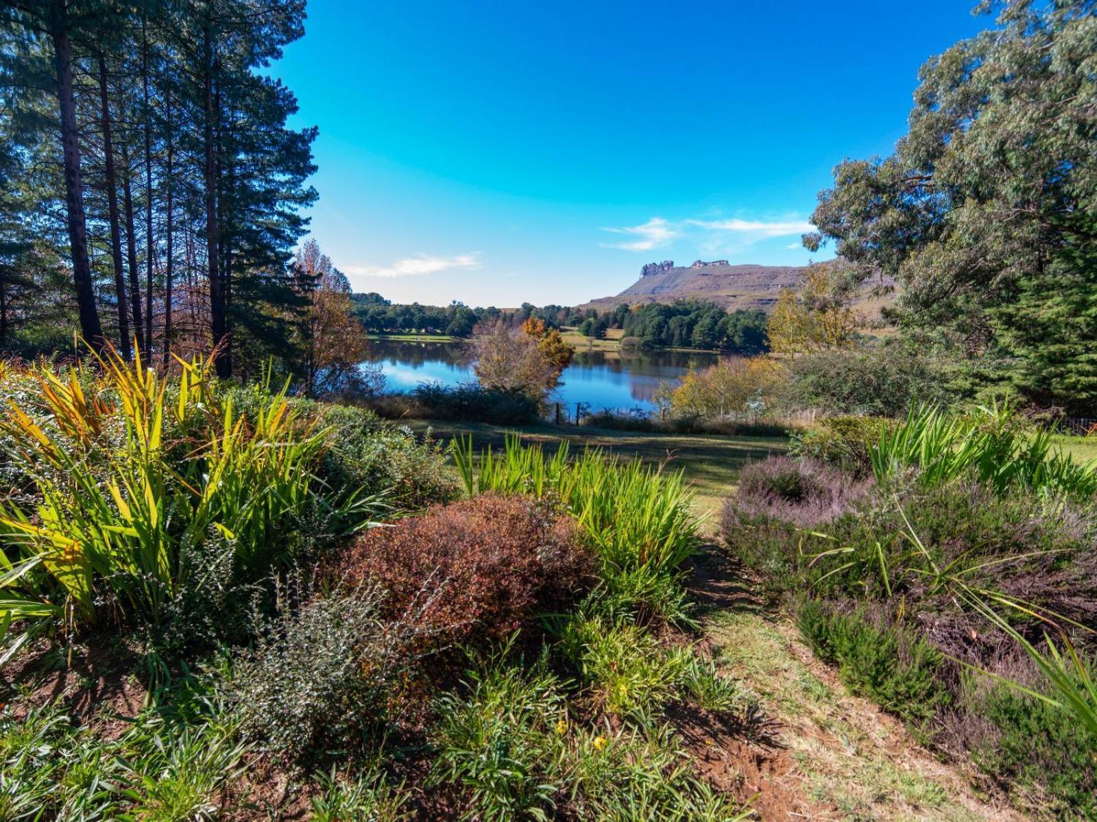 Lake Naverone Holiday Cottages Drakensberg Garden Buitenkant foto